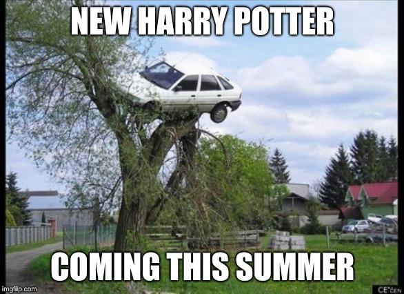 Secure Parking Meme | NEW HARRY POTTER; COMING THIS SUMMER | image tagged in memes,secure parking | made w/ Imgflip meme maker