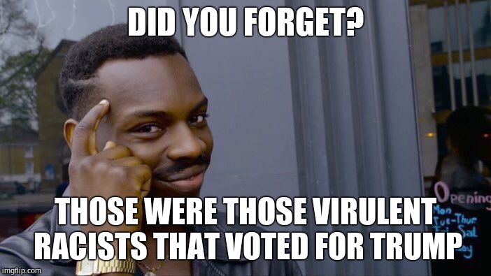 Roll Safe Think About It Meme | DID YOU FORGET? THOSE WERE THOSE VIRULENT RACISTS THAT VOTED FOR TRUMP | image tagged in memes,roll safe think about it | made w/ Imgflip meme maker