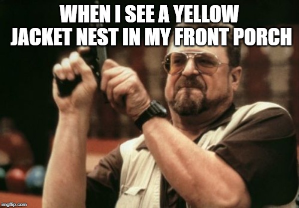 Am I The Only One Around Here Meme | WHEN I SEE A YELLOW JACKET NEST IN MY FRONT PORCH | image tagged in memes,am i the only one around here | made w/ Imgflip meme maker