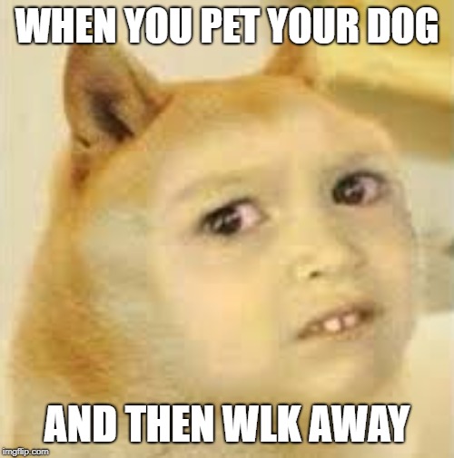 chloge | WHEN YOU PET YOUR DOG; AND THEN WLK AWAY | image tagged in side eyed chloge,memes,funny,fortnite,fortnite meme,roblox | made w/ Imgflip meme maker