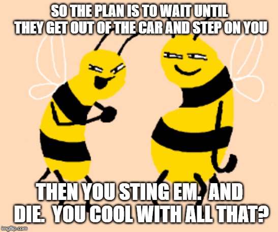 Bee sting plan. | SO THE PLAN IS TO WAIT UNTIL THEY GET OUT OF THE CAR AND STEP ON YOU; THEN YOU STING EM.  AND DIE.  YOU COOL WITH ALL THAT? | image tagged in insect | made w/ Imgflip meme maker