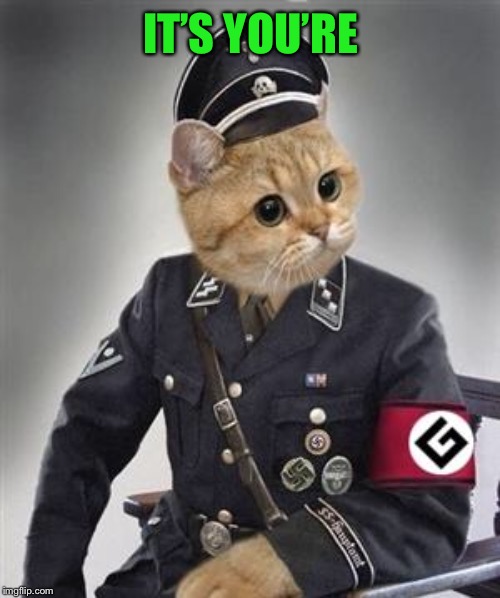Grammar Nazi Cat | IT’S YOU’RE | image tagged in grammar nazi cat | made w/ Imgflip meme maker