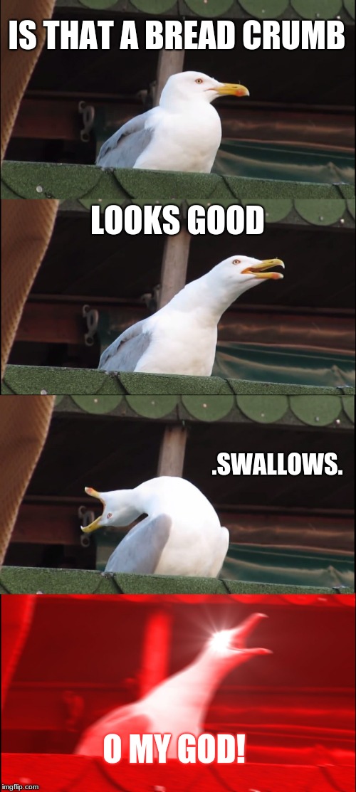 Inhaling Seagull | IS THAT A BREAD CRUMB; LOOKS GOOD; .SWALLOWS. O MY GOD! | image tagged in memes,inhaling seagull | made w/ Imgflip meme maker