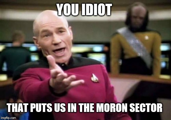 Picard Wtf Meme | YOU IDIOT THAT PUTS US IN THE MORON SECTOR | image tagged in memes,picard wtf | made w/ Imgflip meme maker