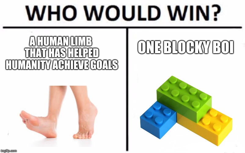 Who Would Win? Meme | A HUMAN LIMB THAT HAS HELPED HUMANITY ACHIEVE GOALS; ONE BLOCKY BOI | image tagged in memes,who would win | made w/ Imgflip meme maker