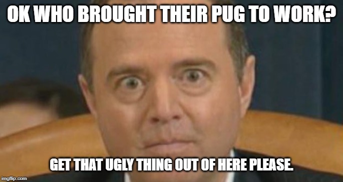 pug life | OK WHO BROUGHT THEIR PUG TO WORK? GET THAT UGLY THING OUT OF HERE PLEASE. | image tagged in pug,adam schiff | made w/ Imgflip meme maker