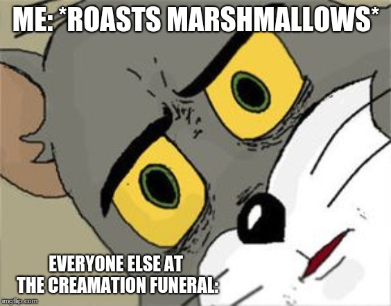 Unsettled Tom Meme | ME: *ROASTS MARSHMALLOWS*; EVERYONE ELSE AT THE CREAMATION FUNERAL: | image tagged in unsettled tom | made w/ Imgflip meme maker