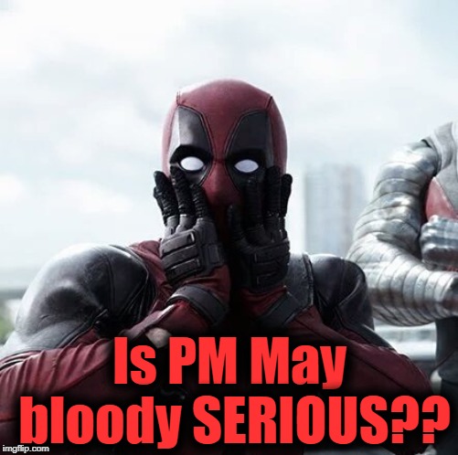 She said she will STEP DOWN if her Brexit deal goes through!! | Is PM May bloody SERIOUS?? | image tagged in memes,deadpool surprised | made w/ Imgflip meme maker