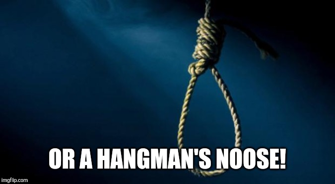 Noose | OR A HANGMAN'S NOOSE! | image tagged in noose | made w/ Imgflip meme maker