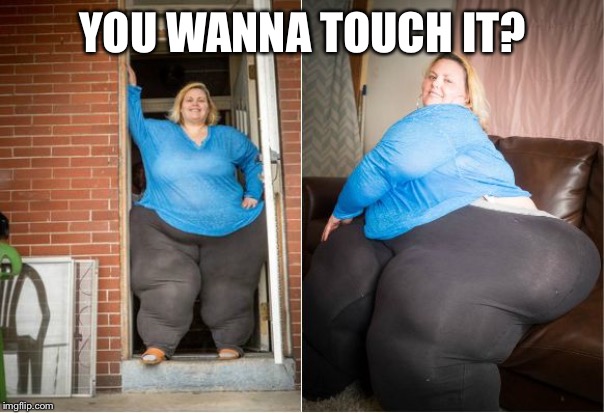 big butt | YOU WANNA TOUCH IT? | image tagged in big butt | made w/ Imgflip meme maker