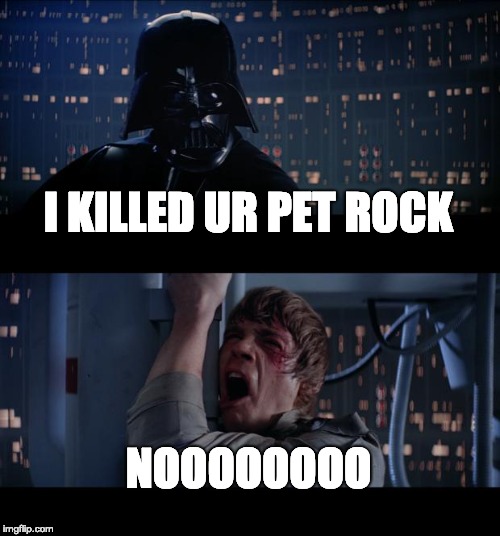 Star Wars No Meme | I KILLED UR PET ROCK; NOOOOOOOO | image tagged in memes,star wars no | made w/ Imgflip meme maker