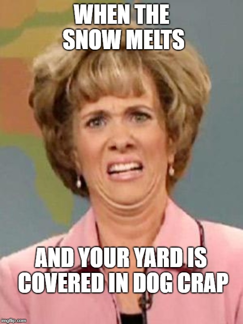 The Struggle is Real. | WHEN THE SNOW MELTS; AND YOUR YARD IS COVERED IN DOG CRAP | image tagged in grossed out,dog crap,snowmelt,snow,melting,dogs | made w/ Imgflip meme maker