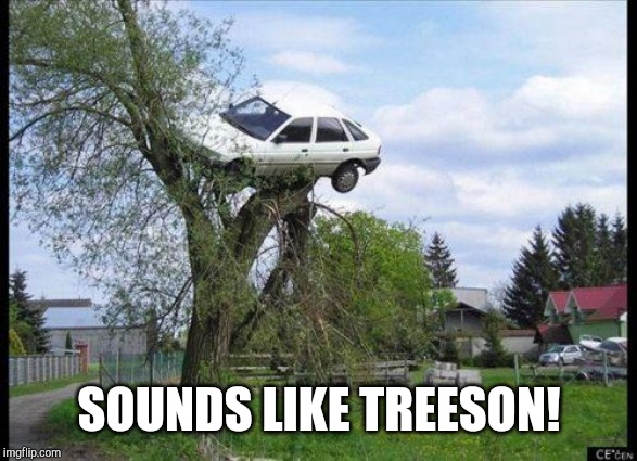 car in tree | SOUNDS LIKE TREESON! | image tagged in car in tree | made w/ Imgflip meme maker