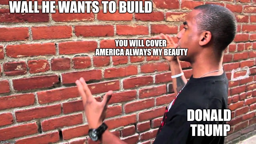 Talking to wall | WALL HE WANTS TO BUILD; YOU WILL COVER AMERICA ALWAYS MY BEAUTY; DONALD TRUMP | image tagged in talking to wall | made w/ Imgflip meme maker