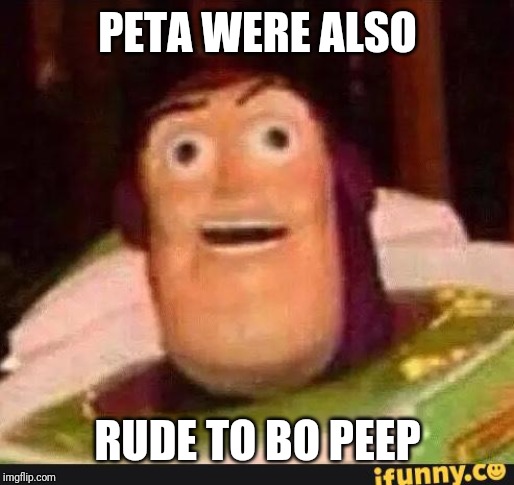 Funny Buzz Lightyear | PETA WERE ALSO RUDE TO BO PEEP | image tagged in funny buzz lightyear | made w/ Imgflip meme maker