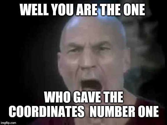 Picard Four Lights | WELL YOU ARE THE ONE WHO GAVE THE COORDINATES  NUMBER ONE | image tagged in picard four lights | made w/ Imgflip meme maker