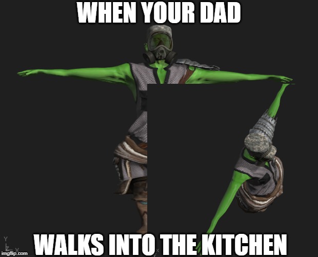 Those ones  | WHEN YOUR DAD; WALKS INTO THE KITCHEN | image tagged in funny | made w/ Imgflip meme maker