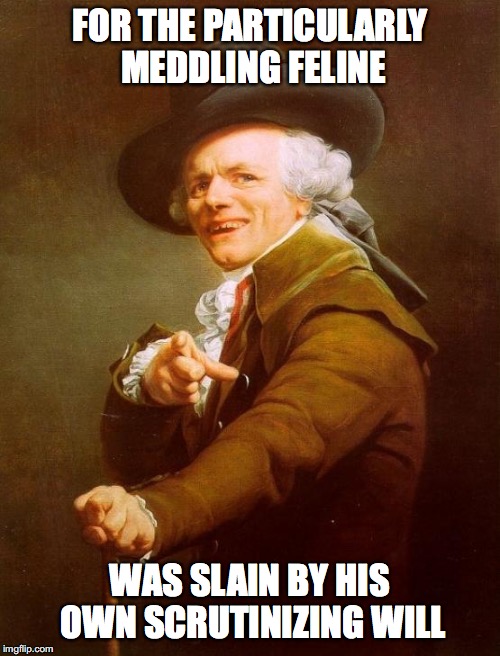 Joseph Ducreux Meme | FOR THE PARTICULARLY MEDDLING FELINE; WAS SLAIN BY HIS OWN SCRUTINIZING WILL | image tagged in memes,joseph ducreux | made w/ Imgflip meme maker