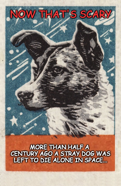 They shouldn’t have done it… | NOW THAT'S SCARY; MORE THAN HALF A CENTURY AGO A STRAY DOG WAS LEFT TO DIE ALONE IN SPACE... | image tagged in laika,dog,space | made w/ Imgflip meme maker