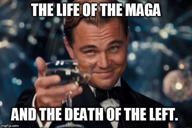 Leonardo Dicaprio Cheers Meme | THE LIFE OF THE MAGA; AND THE DEATH OF THE LEFT. | image tagged in memes,leonardo dicaprio cheers | made w/ Imgflip meme maker