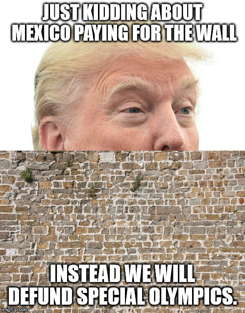 Trump Wall | JUST KIDDING ABOUT MEXICO PAYING FOR THE WALL; INSTEAD WE WILL DEFUND SPECIAL OLYMPICS. | image tagged in trump wall | made w/ Imgflip meme maker