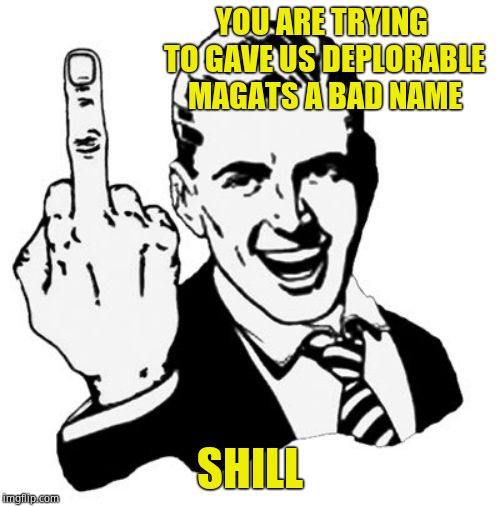 1950s Middle Finger Meme | YOU ARE TRYING TO GAVE US DEPLORABLE MAGATS A BAD NAME SHILL | image tagged in memes,1950s middle finger | made w/ Imgflip meme maker