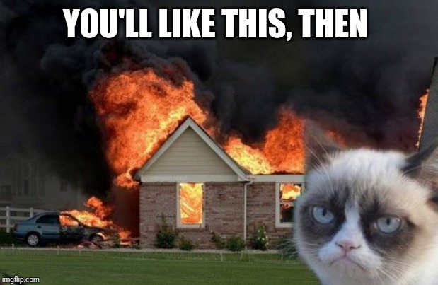 Burn Kitty Meme | YOU'LL LIKE THIS, THEN | image tagged in memes,burn kitty,grumpy cat | made w/ Imgflip meme maker