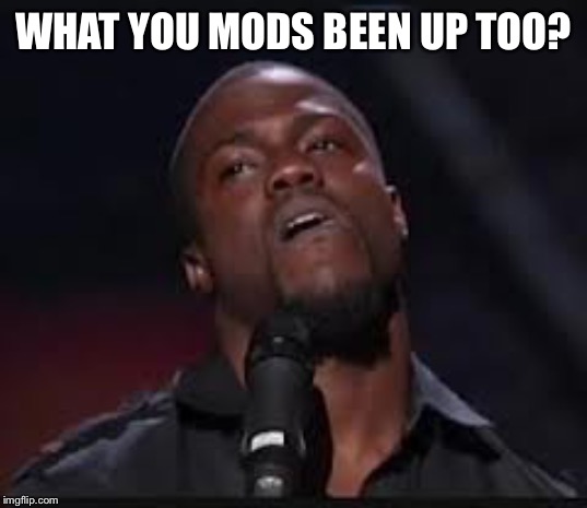 Kevin Hart | WHAT YOU MODS BEEN UP TOO? | image tagged in kevin hart | made w/ Imgflip meme maker