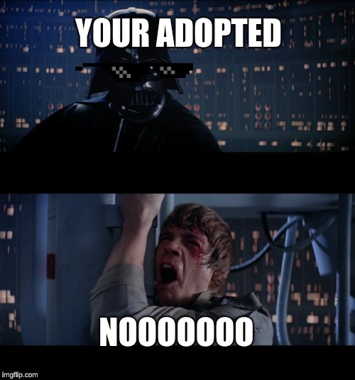 Star Wars No | YOUR ADOPTED; NOOOOOOO | image tagged in memes,star wars no | made w/ Imgflip meme maker