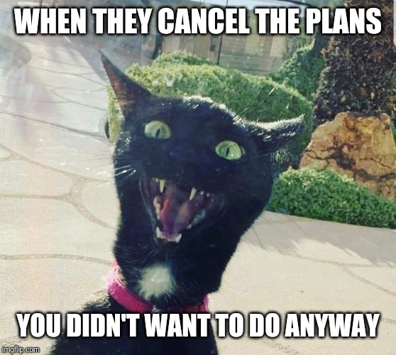 WHEN THEY CANCEL THE PLANS; YOU DIDN'T WANT TO DO ANYWAY | image tagged in funny memes | made w/ Imgflip meme maker
