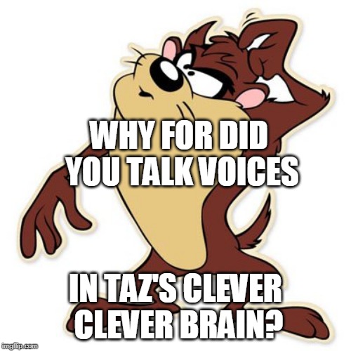 taz | WHY FOR DID YOU TALK VOICES; IN TAZ'S CLEVER CLEVER BRAIN? | image tagged in taz | made w/ Imgflip meme maker