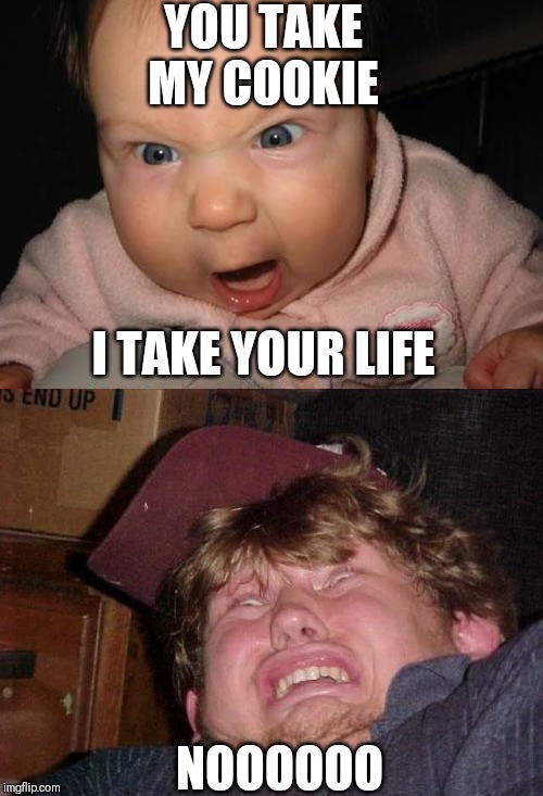 YOU TAKE MY COOKIE; I TAKE YOUR LIFE; NOOOOOO | image tagged in memes,wtf,evil baby | made w/ Imgflip meme maker