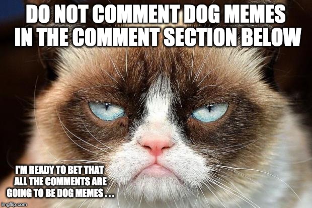 Grumpy Cat Not Amused Meme | DO NOT COMMENT DOG MEMES IN THE COMMENT SECTION BELOW; I'M READY TO BET THAT ALL THE COMMENTS ARE GOING TO BE DOG MEMES . . . | image tagged in memes,grumpy cat not amused,grumpy cat | made w/ Imgflip meme maker