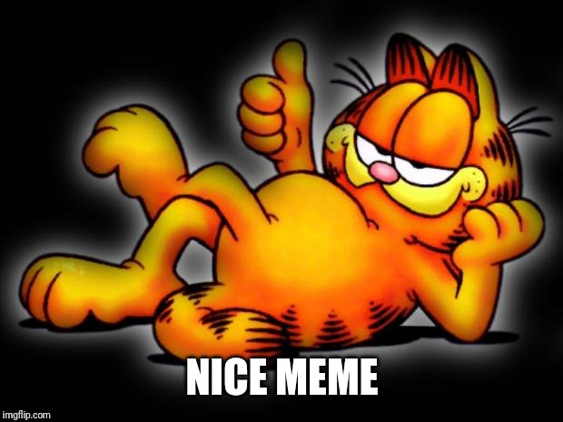 garfield thumbs up | NICE MEME | image tagged in garfield thumbs up | made w/ Imgflip meme maker