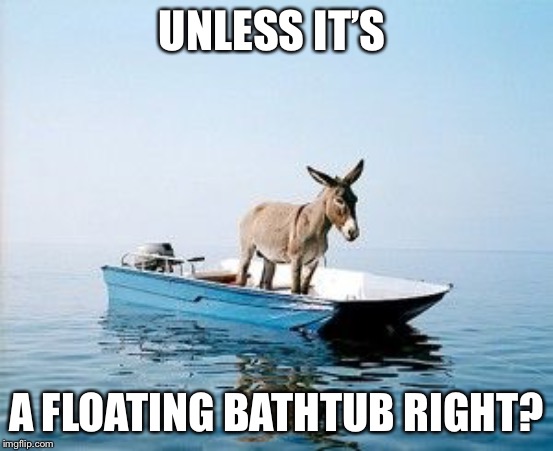 DONKEY ON A BOAT | UNLESS IT’S A FLOATING BATHTUB RIGHT? | image tagged in donkey on a boat | made w/ Imgflip meme maker