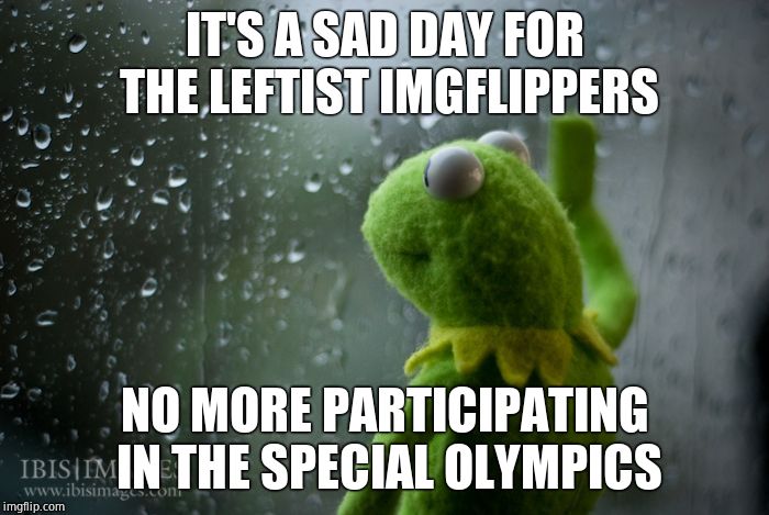 Hahaha just kidding. (Inspired by RedBarron1 *tips hat*) | IT'S A SAD DAY FOR THE LEFTIST IMGFLIPPERS; NO MORE PARTICIPATING IN THE SPECIAL OLYMPICS | image tagged in kermit window | made w/ Imgflip meme maker