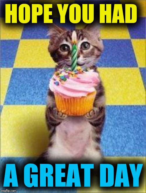 Happy Birthday Cat | HOPE YOU HAD A GREAT DAY | image tagged in happy birthday cat | made w/ Imgflip meme maker