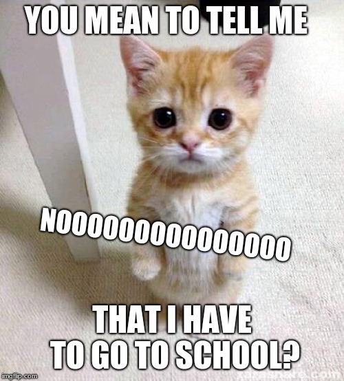 Cute Cat | YOU MEAN TO TELL ME; NOOOOOOOOOOOOOOO; THAT I HAVE TO GO TO SCHOOL? | image tagged in memes,cute cat | made w/ Imgflip meme maker