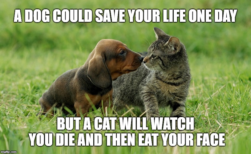 Cats. They cannot be trusted. | A DOG COULD SAVE YOUR LIFE ONE DAY; BUT A CAT WILL WATCH YOU DIE AND THEN EAT YOUR FACE | image tagged in pets | made w/ Imgflip meme maker
