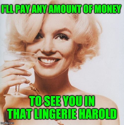 Marilyn Monroe | I'LL PAY ANY AMOUNT OF MONEY TO SEE YOU IN THAT LINGERIE HAROLD | image tagged in marilyn monroe | made w/ Imgflip meme maker