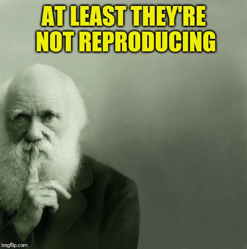 Darwin on sex and music | AT LEAST THEY'RE NOT REPRODUCING | image tagged in darwin on sex and music | made w/ Imgflip meme maker