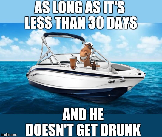 AS LONG AS IT'S LESS THAN 30 DAYS AND HE DOESN'T GET DRUNK | image tagged in ocean | made w/ Imgflip meme maker