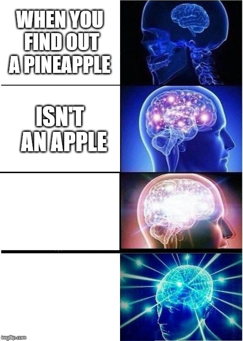 Expanding Brain | WHEN YOU FIND OUT A PINEAPPLE; ISN'T  AN APPLE | image tagged in memes,expanding brain | made w/ Imgflip meme maker