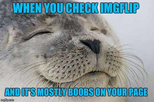 Satisfied Seal Meme | WHEN YOU CHECK IMGFLIP; AND IT'S MOSTLY BOOBS ON YOUR PAGE | image tagged in memes,satisfied seal | made w/ Imgflip meme maker