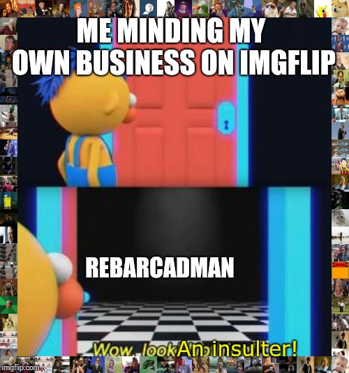 Wow, look nothing | ME MINDING MY OWN BUSINESS ON IMGFLIP; REBARCADMAN; An insulter! | image tagged in wow look nothing | made w/ Imgflip meme maker