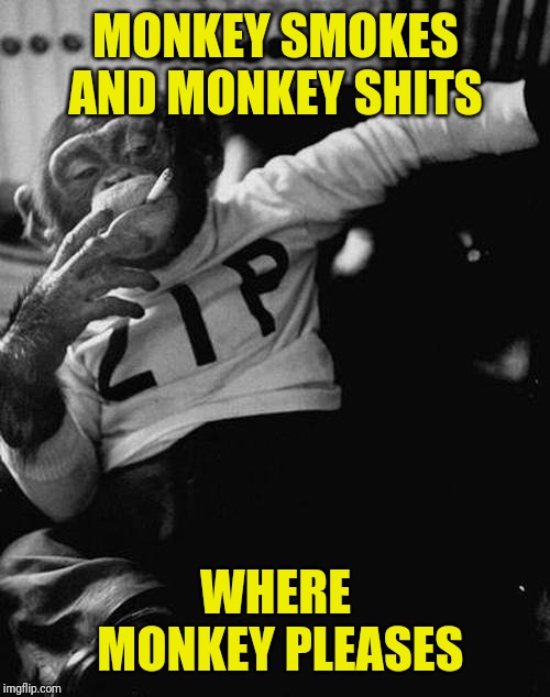 smoking monkey  | MONKEY SMOKES AND MONKEY SHITS WHERE MONKEY PLEASES | image tagged in smoking monkey | made w/ Imgflip meme maker