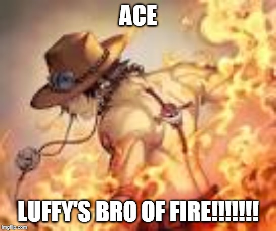 ACE; LUFFY'S BRO OF FIRE!!!!!!! | made w/ Imgflip meme maker