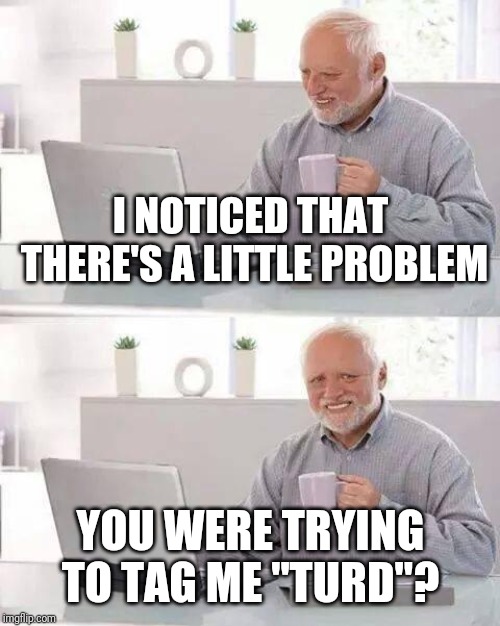 Hide the Pain Harold Meme | I NOTICED THAT THERE'S A LITTLE PROBLEM YOU WERE TRYING TO TAG ME "TURD"? | image tagged in memes,hide the pain harold | made w/ Imgflip meme maker