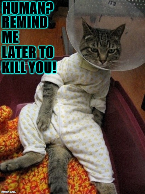 HUMAN? REMIND ME LATER TO KILL YOU! | image tagged in remind me | made w/ Imgflip meme maker