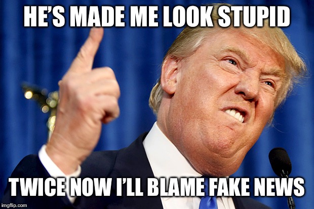 Donald Trump | HE’S MADE ME LOOK STUPID TWICE NOW I’LL BLAME FAKE NEWS | image tagged in donald trump | made w/ Imgflip meme maker